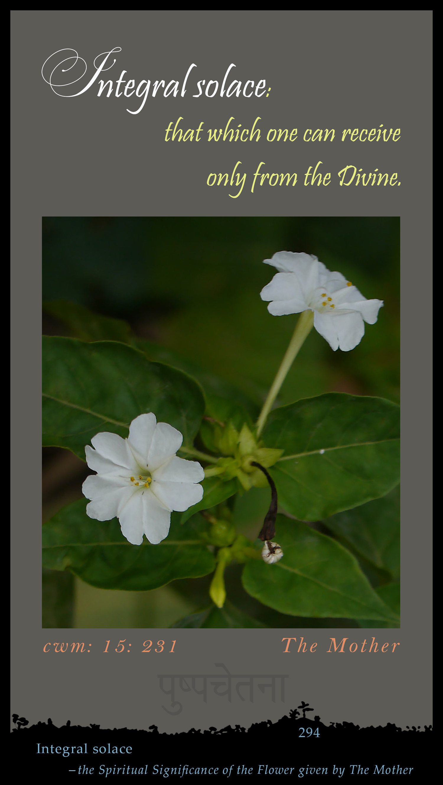 Integral Solace